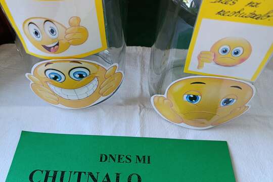  Anketa chutná -  nechutná 1