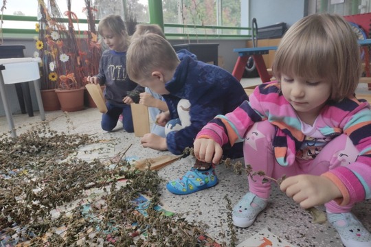 Připravujeme se na farmářský trh, trháme, sušíme a vyrábíme 1