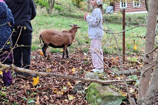 Podzimní družinka 1