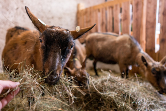 Vzdělávací den na Rodinné farmě Částkov u Žumberku  1