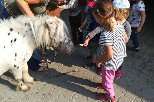 DĚTI Z MŠ MÁNESOVA  KROMĚŘÍŽ  NA FARMĚ  1