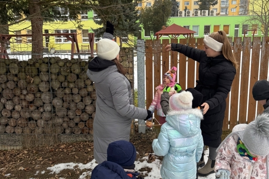 Berušky a Motýlci z MŠ Kollárova - Krmítka pro ptáčky 1