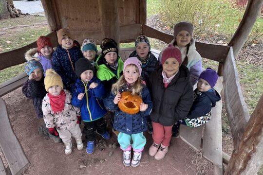 Koťátka dlabou dýni 1