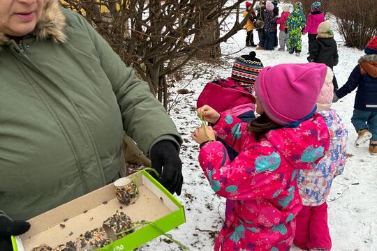 Pomáháme ptáčků přečkat zimu 1