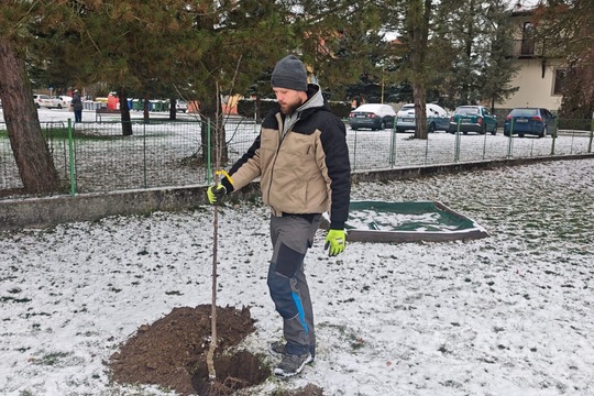 ROZŠIŘUJEME NAŠI JEDLOU ŠKOLNÍ ZAHRADU ROZŠIŘUJEME NAŠI JEDLOU ŠKOLNÍ ZAHRADU 1