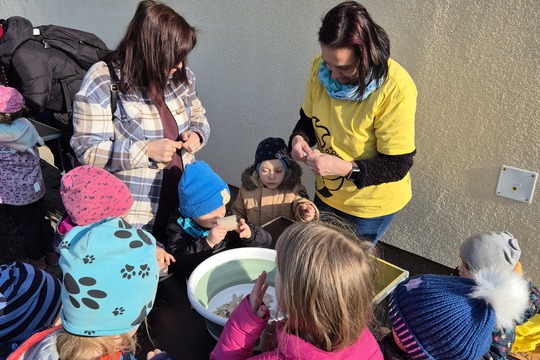 Zasaď dobro s kuřátkem  1