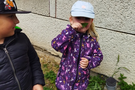 Jaro u nás na zahrádce Jaro u nás na zahrádce 1