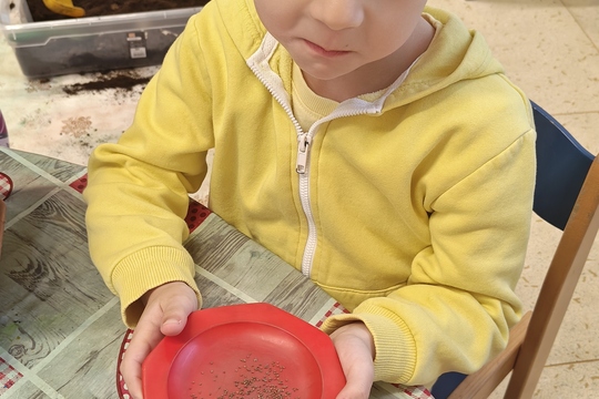 Bylinková radost v naší školce 1