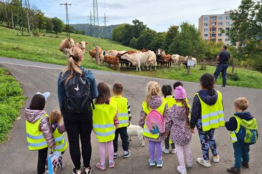 Modráček na Farmě Skalka Modráček na Farmě Skalka 1