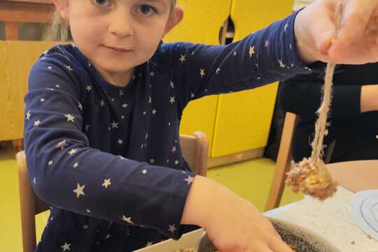 Výroba lojových koulí pro ptáčky 1