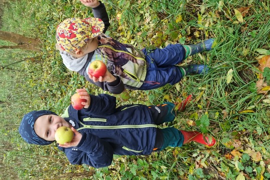 Ježečci z MŠ Soběchleby sbírají BIO jablíčka 1