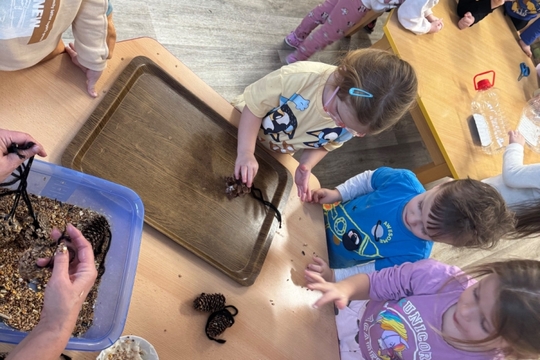 Berušky a Motýlci z MŠ Kollárova - Krmítka pro ptáčky 1