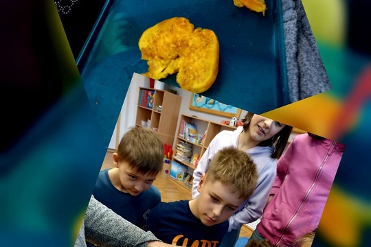 Ochutnávka tropického ovoce 1