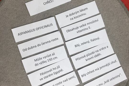 Chřest 1