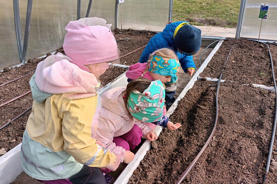 Jak si kdo zasadí, tak si taky sní  1