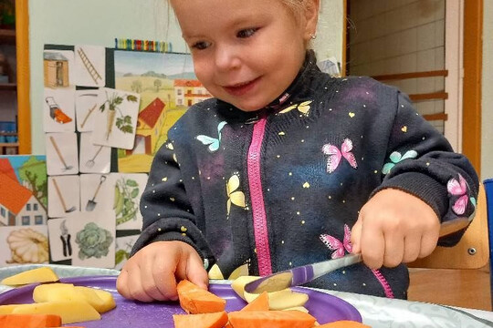 Zeleninová polévka 1