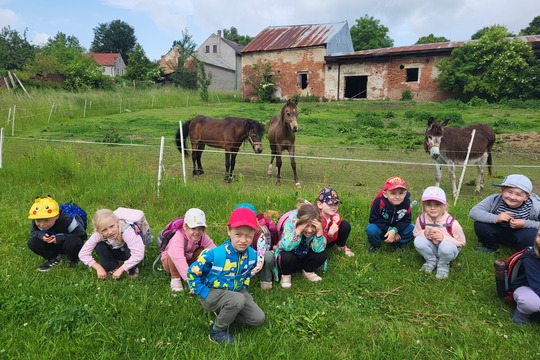Výlet na Ekofarmu - Kytičky 1