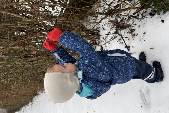 ZÁVĚSNÁ KRMÍTKA PRO PTÁČKY ZÁVĚSNÁ KRMÍTKA PRO PTÁČKY 1