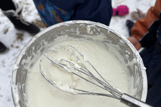 Výroba domácí zmrzliny  1