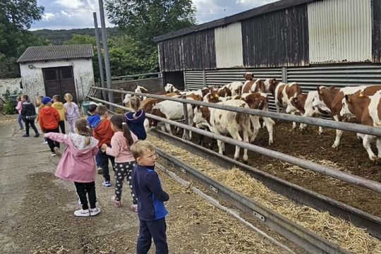 Předškoláci vyrazili na farmu do Slavětína 1