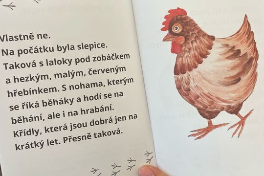 Do školky nám dorazilo pět malých překvapení 1