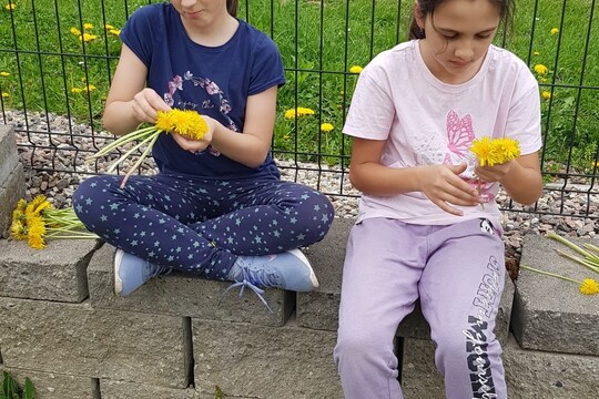 Jaro se probouzí 1