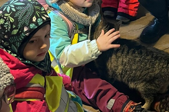 Vánoce na dědině Vánoce na dědině 1