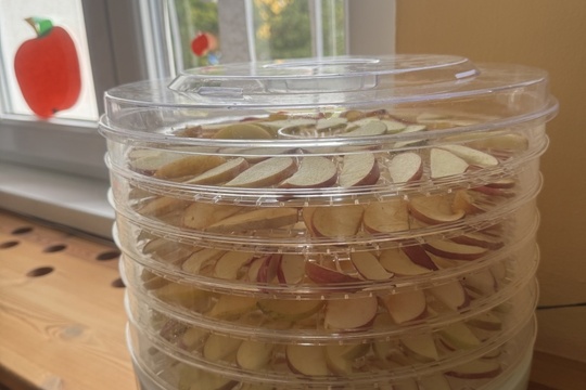 Zdravá pochoutka z jablek 1