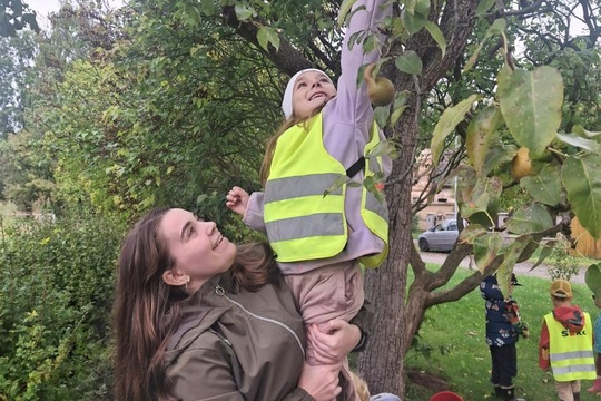 Medvídci z MŠ Soběchleby - Křížaly z místních jablíček 1