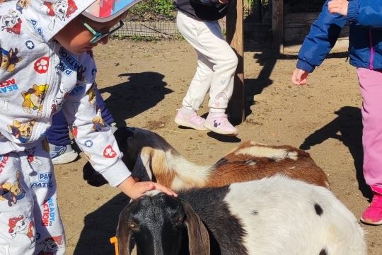 Koťátka z MŠ Kollárova - Výlet na farmu Koťátka z MŠ Kollárova - Výlet na farmu 1
