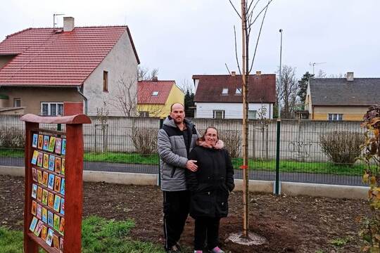 Výzva pro rodiče "Zasaďte si váš (náš) strom" 1