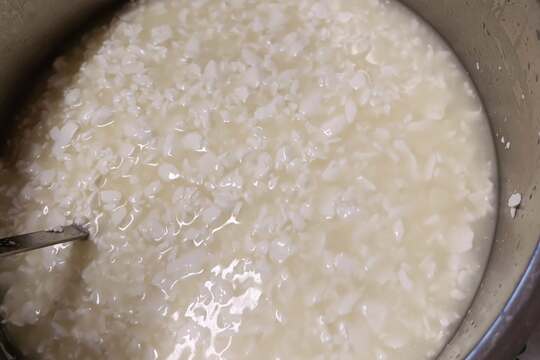 MŠ vyrábí sýry 1