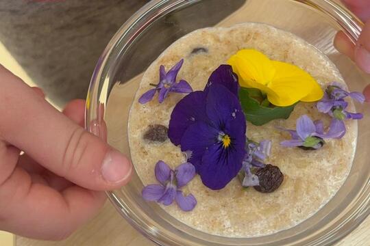 Ke svačině jaro  1