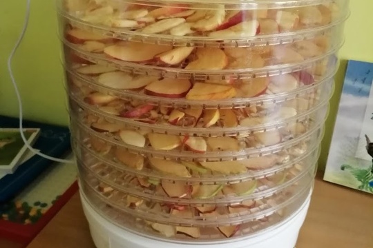Sušení jablíček 1