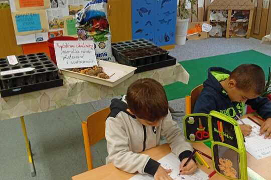 „Matematika naruby aneb pěstujeme v souřadnicích“ 1