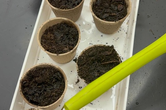 Bylinky a rajčátka od kamarádů Bylinky a rajčátka od kamarádů 1