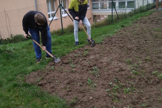 Podzimní práce na školním pozemku 1