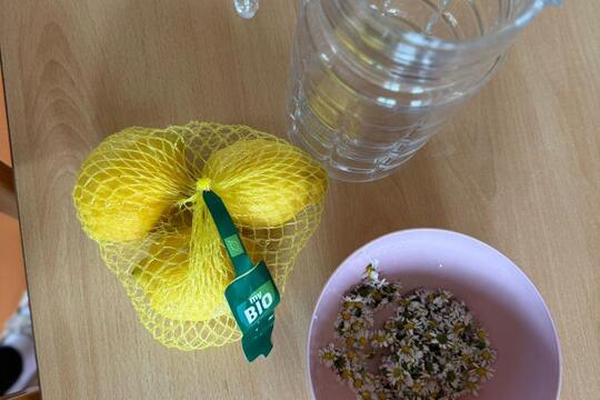 Sedmikrásková limonáda 1