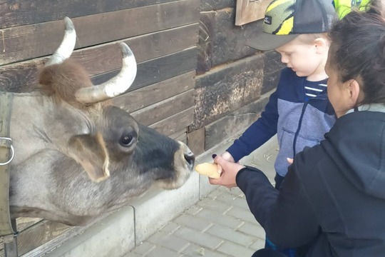 Jak se žije na kozí farmě 1