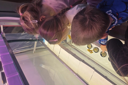 Berušky z MŠ Kollárova sází bylinky do hydroponické zahrádky 1