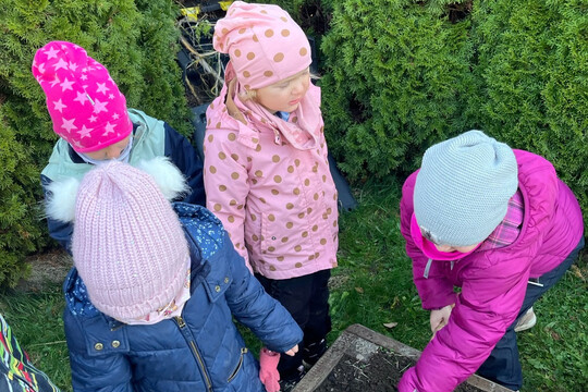 Brambory a česnek 1