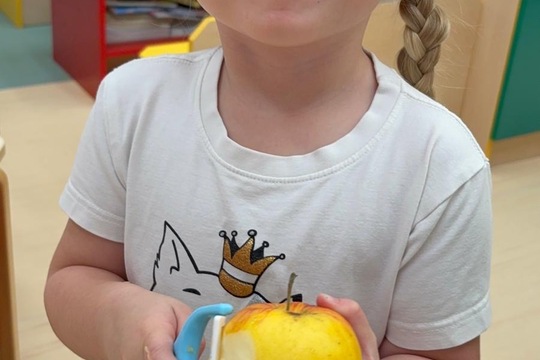 Domácí kompot  1