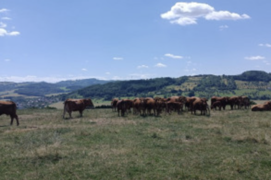 Exkurze na biofarmu 1