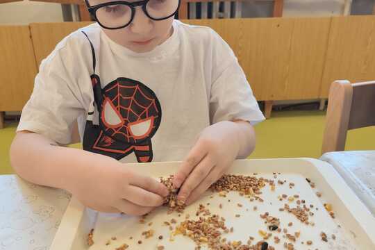 Výroba lojových koulí pro ptáčky 1