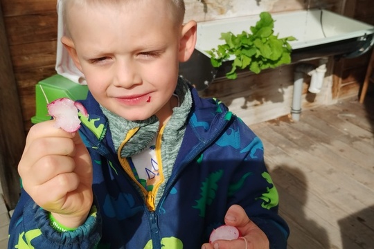 První křupavý pozdrav z řádku První křupavý pozdrav z řádku 1