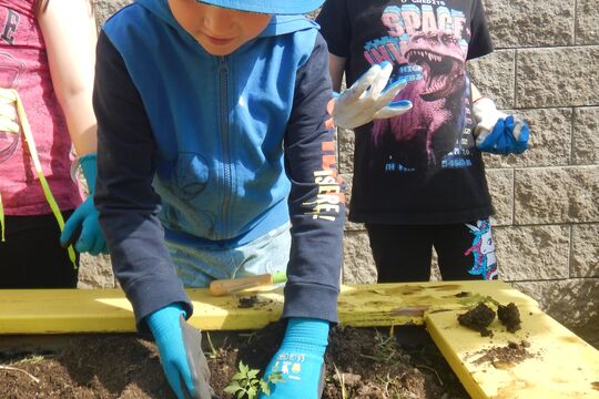 Skutečně zdravá škola – 4. třída Berušky – jarní sázení a společná brigáda s rodiči 1