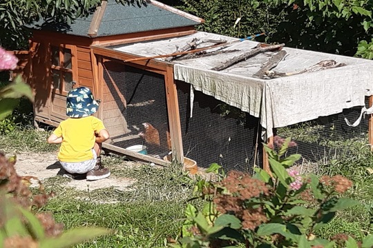 Výlet do Karviné a Amálčiny slepice 1