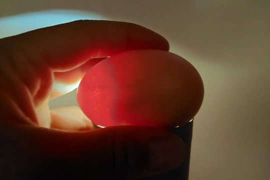 Objevování a poznávání jako každodenní rituál v životě školičky 1