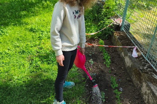 Naše malá školková zahrádka jen kvete Naše malá školková zahrádka jen kvete 1
