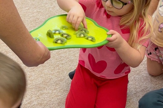 Ovoce a naše smysly  1